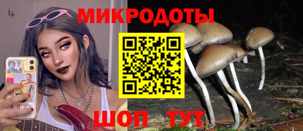 где найти наркотики  Галлюциногенные грибы прущие грибы  Вход с VPN  Камышлов 