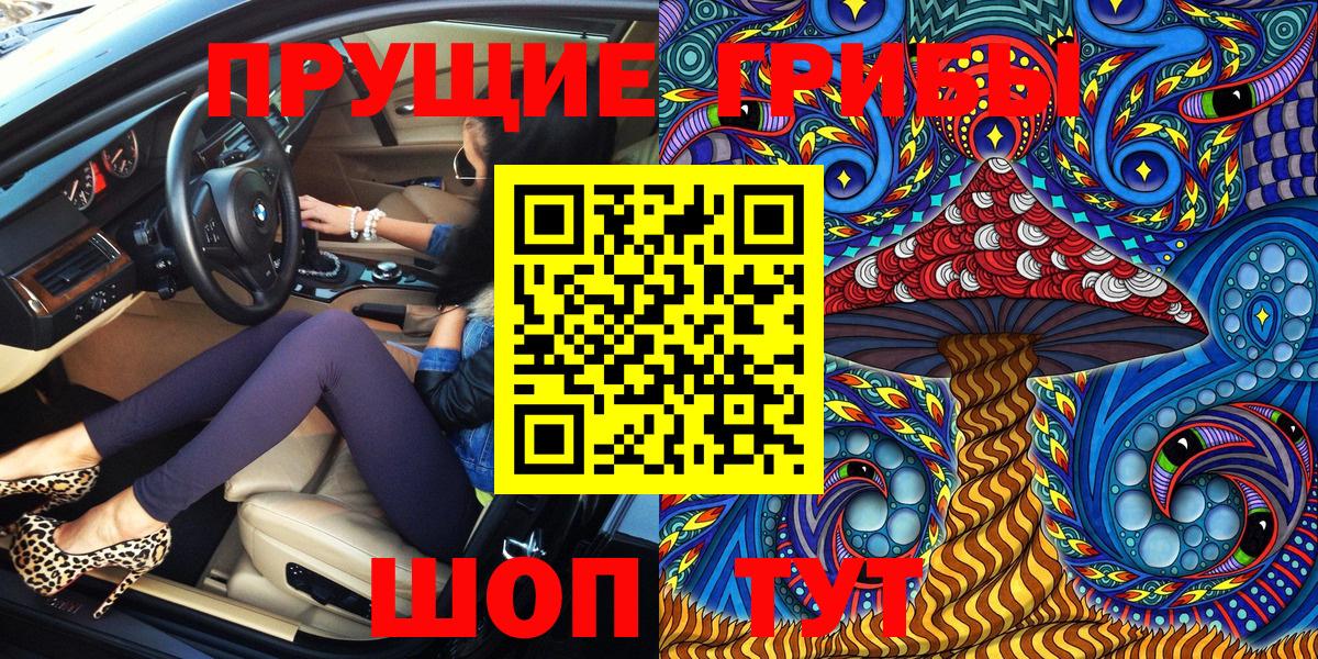 Псилоцибиновые грибы Psilocybe Камышлов